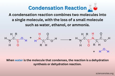 Condensation Reaction Definition and Examples Learn Chemistry, Polymer Science, Peptide Bond, Organic Molecules, Functional Group, Carboxylic Acid, Industrial Engineering, Nucleic Acid, Chemical Industry