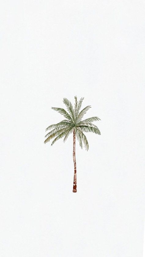 wallpaper Tree Phone Wallpaper, Palm Tree Wallpaper, Palm Trees Wallpaper, Wallpaper For Iphone, Png Icons, Tree Wallpaper, Summer Wallpaper, Coco Chanel, Palm Tree