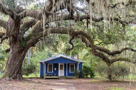 Daufuskie Island’s Robert Kennedy Trail Teaches Gullah History North Carolina Lakes, Daufuskie Island, Dauphin Island, Southern Living House Plans, Pisgah National Forest, Mountain Park, Scenic Byway, Back Road, Appalachian Trail