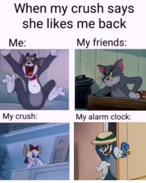 Tom And Jerry Funny, Tom Jerry, School Memes, Very Funny Jokes, Some Funny Jokes, Tom And Jerry, Random Memes, Internet Funny, Really Funny Pictures