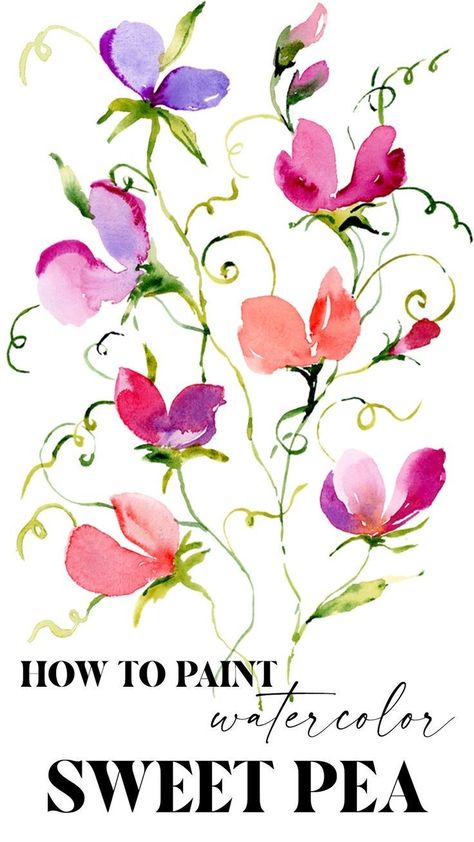 Painting Sweet Peas, Sweet Peas Painting, Sweet Pea Watercolour Paintings, Watercolour Sweet Pea, Watercolor Sweet Peas, Sweet Pea Watercolor, Sweet Peas Flowers, Watercolor Templates, Abstract Watercolor Flower