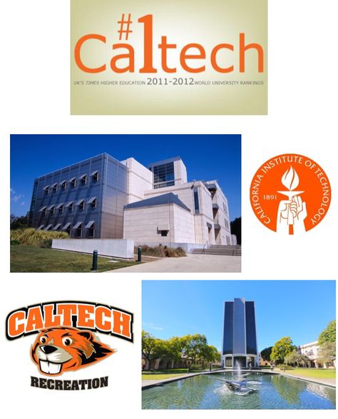 CalTech University Caltech Aesthetic, Caltech University Aesthetic, Caltech University, Academic Goals, Dream School, Life Board, College Logo, My Future, Study Abroad