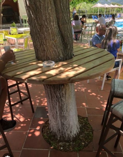 Bar Around Tree Trunk, Picnic Table Around Tree, Sitting Area Around Tree, Porch Around Tree, Bar Around Tree, Tree Sitting Area, Sitting Area Under Tree, Seating Around Tree, Table Around Tree