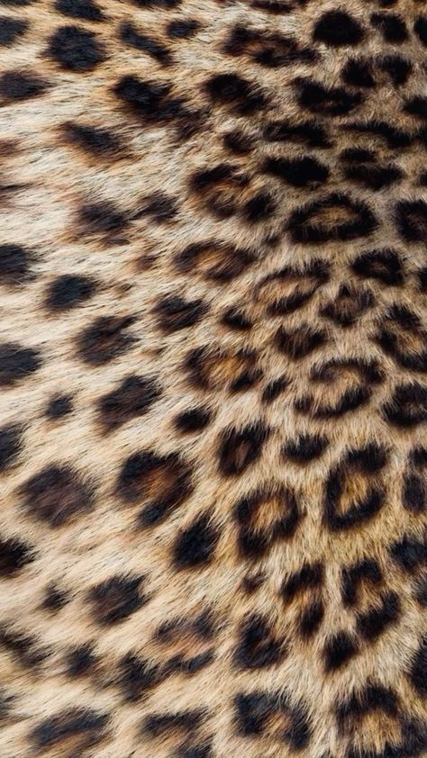 Tiger Wallpaper Aesthetic, Backround Pics For Phone, 2014 Tumblr Aesthetic Wallpaper, Cheetah Print Background, Cheetah Wallpaper, Leopard Print Wallpaper, Cheetah Print Wallpaper, Panther Print, Clean Phone