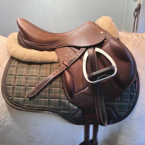 Heritage Oak LeMieux Saddlepad This Esme Aesthetic Horse Tack, This Esme, This Esme Horses, Lemieux Equestrian, English Saddle Aesthetic, English Tack Sets, Lemieux Saddle Pads, Lemieux Matchy Sets, Lemuix Saddle Pad