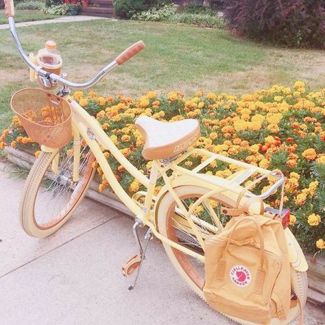 Bike Aesthetic, Beach Cruiser Bikes, Peach Aesthetic, Pretty Bike, Orange Aesthetic, Beach Cruiser, Pretty Cars, Cruiser Bike, Spring Aesthetic