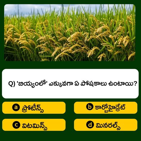 Telugu Learning, General Knowledge Questions And Answers, Telugu Language, Language Quiz, General Knowledge Questions, Gk Questions, Exam Prep, Personality Quizzes, Questions And Answers