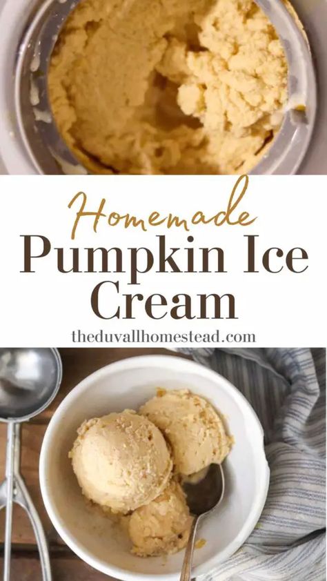 Homemade Pumpkin Ice Cream (Without Heavy Cream Option) - The Duvall Homestead Ice Cream Without Heavy Cream, Homemade Pumpkin Ice Cream, Heavy Cream Recipes, Homemade Bone Broth, Cinnamon Pumpkin, Pumpkin Ice Cream, Pumpkin Pie Recipe, Pumpkin Squash, Pumpkin Spice Syrup