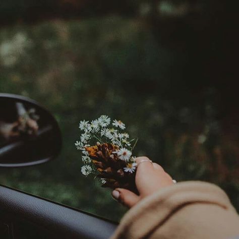 My Love Photo, Foto Tips, Holding Flowers, Autumn Aesthetic, Photography Inspo, Aesthetic Photography, Picture Perfect, Photo Inspiration, Flower Power