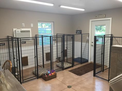 Dog Room Ideas For Big Dogs, House With Dog Room, Dog Room Ideas With Kennels, Dog Room With Kennels, Dog Grooming Salon Reception Area, Custom Built Dog Kennels, Dog Room Kennel, Dog Room Layout, Dog Room Kennel Ideas