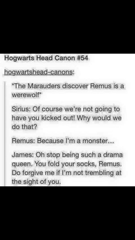 The Marauders Find Out Remus is a Werewolf Remus Werewolf, Roonil Wazlib, Marauders Headcannons, Expecto Patronum, Hogwarts Letter, Diagon Alley, Harry Pottah, Hogwarts Express, Albus Dumbledore