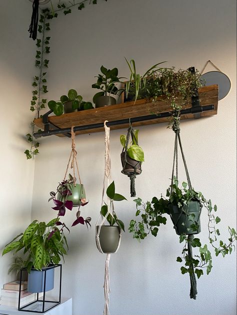 Good Hanging Plants, Bedroom Plant Ideas, Plant Wall Diy, Plants Bedroom, Lego Room Decor, Hanging Indoor Plants, Bedroom Plants, Plant Stand Indoor, Plant Aesthetic