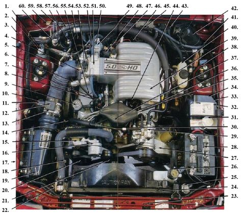 Fox Body Engine Compartment Diagram Mustang Build, Mustang Restoration, 93 Mustang, Mechanic Engineering, Mustang Engine, Mustang Interior, Fox Mustang, Gt 350, Engine Diagram