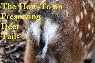 Bohemian Heart Workshop: Preserving Deer Tails 101 Deer Tail Diy, How To Stain Wood, Pork Chorizo, Deer Tail, Tanning Hides, Borax Crystals, Hunting Guide, Stain Wood, Freezer Paper