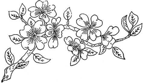 1886 Ingalls Apple Blossom Branch Apple Blossom Branch, Apple Blossom Tattoos, Knitting Tattoo, Drawing Apple, Tattoo Mandala, Geometric Nature, Blossom Branch, Pattern Coloring Pages, Blossom Tattoo