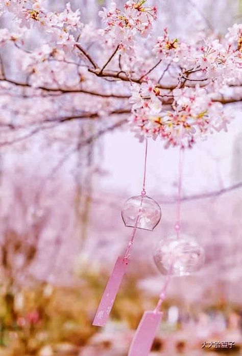 Japanese Wind Chimes, Summer In Japan, Japanese Summer, Mouse Wallpaper, Wind Bell, Iphone Wallpaper Kawaii, Mickey Mouse Wallpaper, Dress Sketches, A Symbol