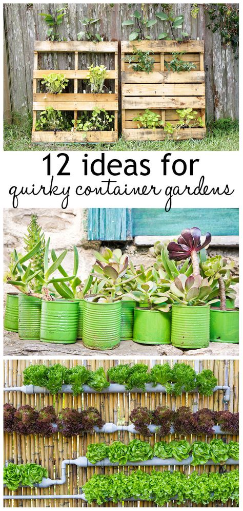 Fancy container gardens and recycled containers - create a stunning urban garden with unusual containers Recycled Containers, Unusual Planter, Diy Jardin, Outdoors Ideas, Flowers Indoor, Space Garden, Gardens Ideas, Video Garden, Recycled Garden