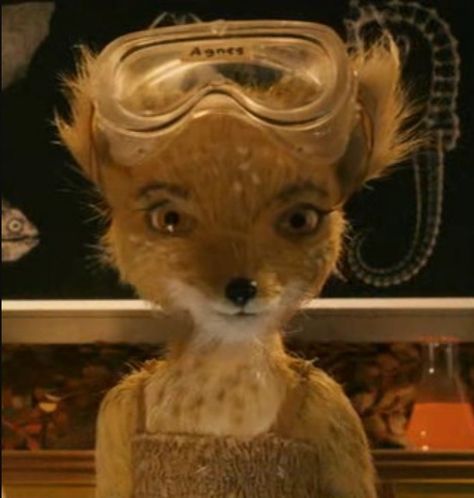 Agnes Agnes And Kristofferson, Fantastic Mr Fox Agnes, Fantastic Mr Fox Pfp, Fantastic Mr Fox Movie, Fantastic Fox, Pretty Movie, Wes Anderson Movies, Wes Anderson Films, Fox Toys