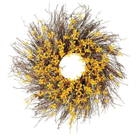 Add a warm spring feel to your front door or decor with this 24" Forsythia Wreath in a beautiful yellow color. The combination of brightly colored flowers and natural appearing wreath are a perfect addition for a pop of color. Forsythia Wreath, Silk Wreaths, Yellow Wreath, Cotton Wreath, Spring Door Wreaths, Dekor Diy, Twig Wreath, Berry Wreath, Mellow Yellow