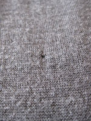 Black Spruce Hound: How to darn a Hole in a Sweater with Thread. fix. Mindful Mending, Mending Techniques, Homemade Closet, Saving Environment, Fixing Clothes, Clothing Repair, Black Spruce, Knitting Hacks, Mending Clothes