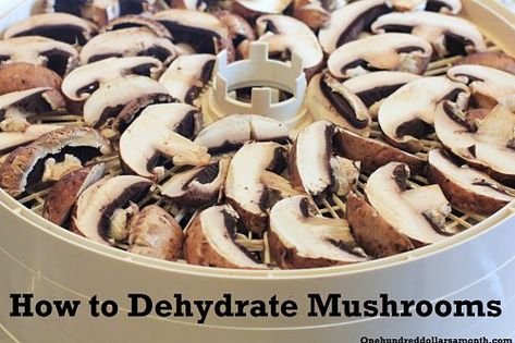 How to Dehydrate Mushrooms Dehydrate Mushrooms, Dehydrating Mushrooms, Dehydrated Mushrooms, Dehydrating Food Storage, Food Dehydration, Dehydrated Vegetables, Canning Food Preservation, Canned Food Storage, Long Term Food Storage