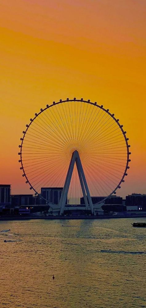 Giant Wheel, Wallpaper Gallery, Beautiful Sunset, Nature Photos, Ferris Wheel, Fair Grounds, Wheel, Wallpapers, Travel