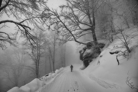 The Secret History Donna Tartt, Secret History Donna Tartt, Winter Core, I Love Snow, Donna Tartt, Snow Girl, Winter Mountain, Snowy Forest, Dark Paradise