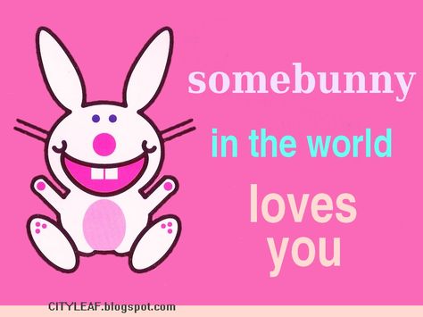 Happy Bunny Quotes, Bunny Quotes, Somebunny Loves You, Bunny Aesthetic, Happy Bunny, Bunny Bunny, Scene Emo, I Luv U, Monkey Business