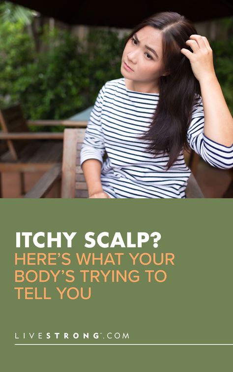 Itchy Scalp? Here’s What Your Body’s Trying to Tell You | Livestrong.com Check more at https://testa.my.id/?p=31215 How To Stop Itchy Scalp, Dry Patches On Scalp, Dry Itchy Scalp Remedy, Itchy Dry Scalp Remedy, Itchy Scalp Causes, Itchy Head, Itchy Scalp Remedy, Itchy Body, Sores On Scalp