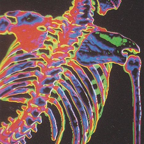 A Skeleton, Black Background, Skeleton, Neon, Black