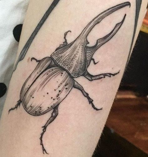 Goliath Beetle Tattoo, Hercules Beetle Tattoo, Insect Tattoos, Red Bug, Beetle Tattoo, Tattoos Sleeve, Insect Tattoo, Bug Tattoo, Red Ink Tattoos