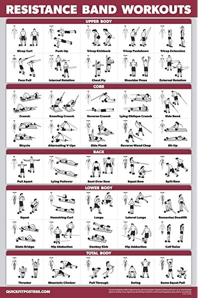 QuickFit Exercise Ball Workout Poster - Stability Ball Routine - Balance Ball - Laminated - 18" x 27", Fitness Planners - Amazon Canada Workout Recommendations, Resistance Band Workouts, Exercise Poster, Body Squats, Resistance Training Workouts, Band Workouts, Tricep Kickback, Resistance Tube, Band Exercises