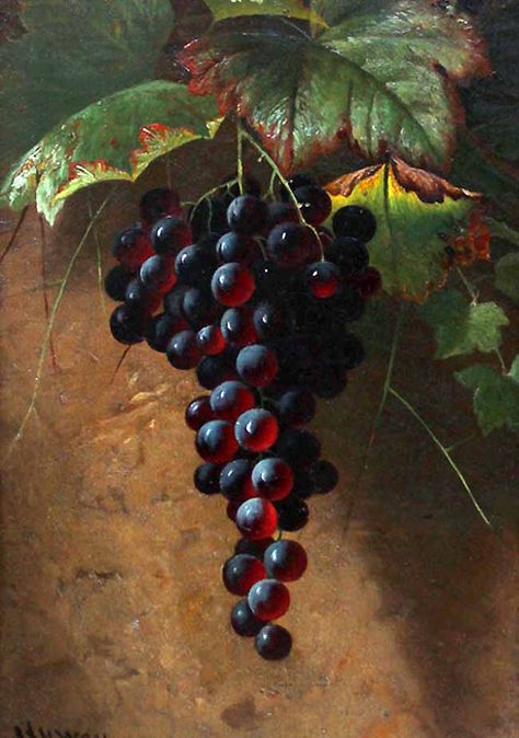 Grape Oil, Grape Painting, John Henry, Still Life Oil Painting, Grape Bunch, Fruit Painting, Still Life Art, Still Life Painting, Grape Vines