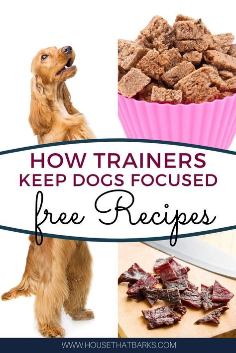 Dog Training Treats Recipe, Soft Dog Treats, Animal Treats, Easy Dog Treat Recipes, Doodle Dogs, Make Dog Food, Frozen Dog Treats, Dog Biscuit, Dog Biscuit Recipes