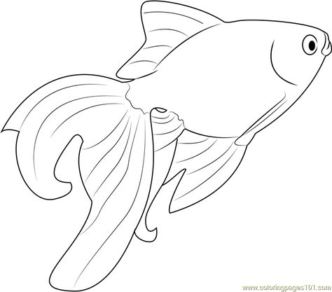 Beautiful Goldfish printable coloring page for kids and adults Goldfish Coloring Pages, Goldfish Drawing Easy, Fish Design Drawing, Goldfish Printable, Giant Goldfish, Animal Masks For Kids, Fish Coloring, Summer Arts And Crafts, Fish Coloring Page