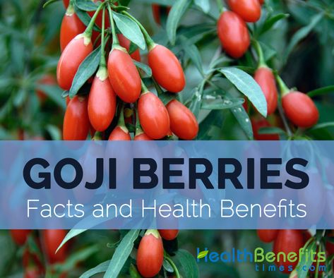 Berries Health Benefits, Iron Rich Fruits, Benefits Of Red Wine, Goji Berries Benefits, Gogi Berries, Red Wine Benefits, Grapes Benefits, Benefits Of Berries, Iron Rich