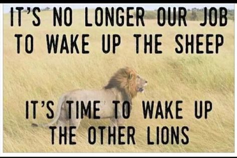 IT'S NO LONGER OUR JOB TO WAKE UP THE SHEEP IT'S TIME TO WAKE UP THE OTHER LIONS – popular America’s best pics and videos on the site https://americasbestpics.com Good Soul Quotes, Universe Quotes Spirituality, Capricorn Quotes, Wife Life, Best Pics, Lion Of Judah, Christian Quotes Inspirational, 100 Days, Wake Up