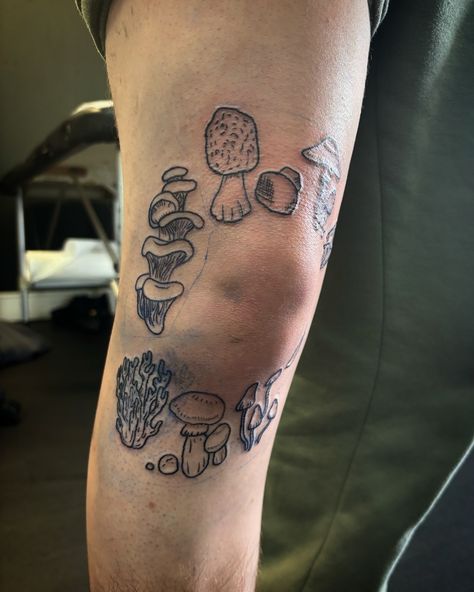 Mushroom knee cap piece for Dylan! Loved doing this 🍄 @squeakiestattoostudio ❤️‍🔥 #tattoo #tattoos #ink #inked #art #tattooartist #tattooart #tattooed #tattoolife #tattooideas #love #artist #blackwork #instagood #tattoodesign #tatuagem #tattooing #tattooist #blackandgreytattoo #tattooink #tatuajes #instagram #me #tattoostyle #photography #drawing #tatuaje #tattooer #traditionaltattoo #tattoogirl Ink Cap Mushroom, Mushroom Drawings, Knee Cap, Photography Drawing, Mushroom Drawing, Life Tattoos, Black And Grey Tattoos, Tattoo Style, Traditional Tattoo