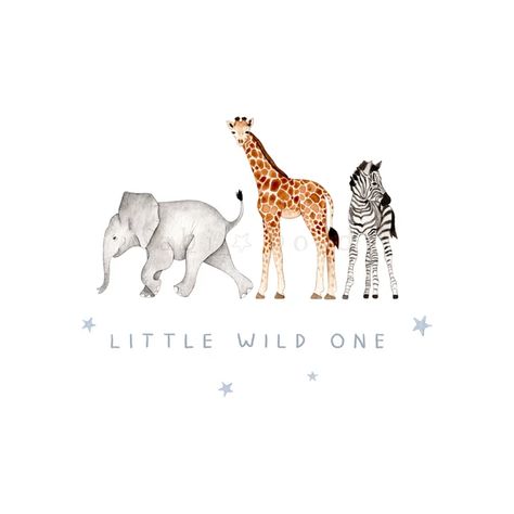 Abiboyddesigns - Etsy Canada Safari Animals Watercolor, Safari Watercolor, Zebra Illustration, Animal Watercolor, Animals Watercolor, Cute Phrases, Baby Elefant, Watercolor Png, Safari Baby