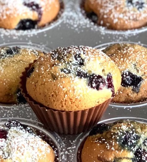 Bluberry Muffins, Ckd Diet, Kidney Friendly Recipes Renal Diet, Healthy Kidney Diet, Kidney Friendly Foods, Kidney Diet, Renal Diet, Kidney Friendly, Blueberry Recipes