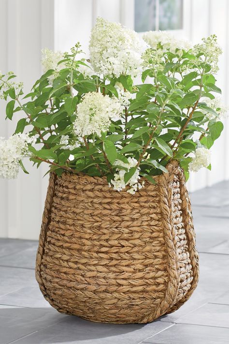 It may look like a real woven hyacinth basket, but it's actually made from durable resin and can used indoors or out to hold faux or live plants and small trees. Woven Planter, Pagoda Umbrella, Hyacinth Basket, Wicker Sofa Outdoor, Porch Planters, Cascading Flowers, Outdoor Living Furniture, Tile Texture, Urn Planters