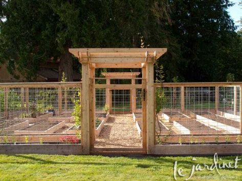 Plan Potager, Kebun Herbal, Taman Diy, Raised Vegetable Gardens, Garden Area, Garden Design Plans, Veg Garden, Vegetable Garden Design, Perfect Garden