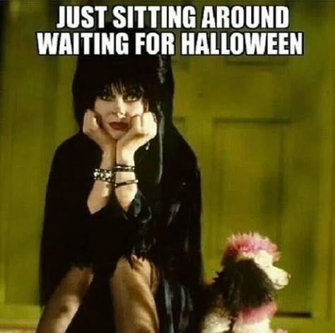 Waiting For Halloween halloween halloween quotes halloween quote elvira halloween humor funny halloween Funny Halloween Pictures, Halloween Humor, Cassandra Peterson, Halloween Memes, Everyday Is Halloween, Elvira Mistress Of The Dark, Halloween Queen, I Love Halloween, Halloween Quotes