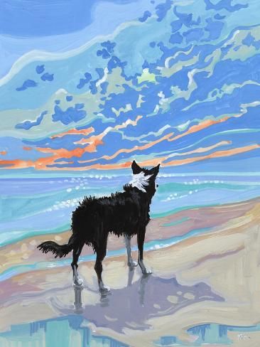 Watercolour Border Collie, Border Collie Wallpaper, Border Collie Illustration, Border Collie Painting, Draw Dog, Dog Watercolour, Doggy Quotes, Border Collie Art, Gallery Space