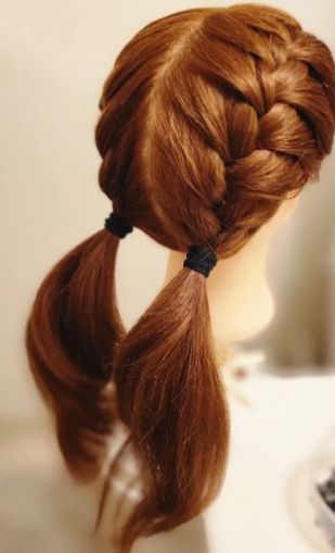 Double Ponytail French Braids Hairstyle Ideas Hairstyles Double Braid, French Braid With Ponytail, Double Braids Ponytail, Side French Braid Hairstyles, Double Ponytail Hairstyles, French Braids Hairstyle, Double Braided Ponytail, Double French Braid, French Braid Short Hair