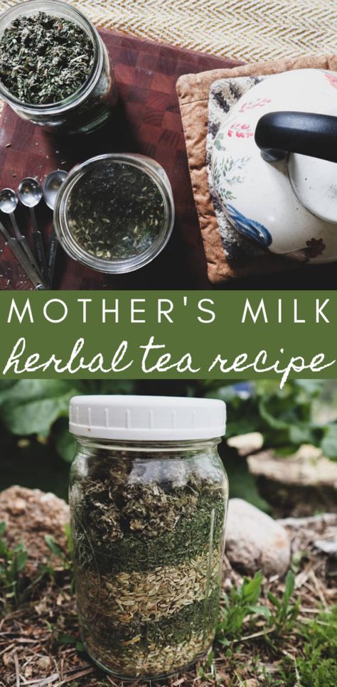 Mothers Milk Tea, Milk Tea Recipe, Mothers Milk, Mother's Milk, Homestead Blog, Natural Medicine Cabinet, Live Simple, Milk Tea Recipes, Herbal Teas Recipes