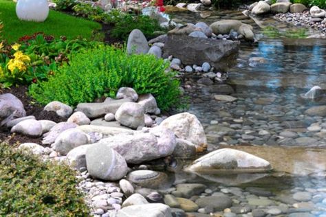 How To Build A Backyard Stream - Water Garden Advice Trees In Front Yard, Backyard Streams, Backyard Stream, Wrought Iron Trellis, Landscaping Around Pool, Garden Stream, Backyard Pond Ideas, Stream Water, Swimming Ponds