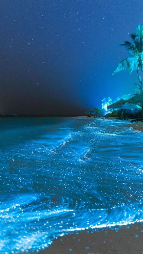 Visit the #GlowingBeach on the Vaadhoo Island in the Maldives. The bioluminescent phytoplankton in the water create an ethereal, starry night effect on the shore, a romantic sight that's perfect for a moonlit walk. #RomanticDestinations #NaturalWonders #TravelFact Vaadhoo Island, Glowing Beach, Ocean At Night, Beach At Night, Dream Vacations Destinations, Ocean Pictures, Pretty Landscapes, Ocean Vibes, Tapeta Pro Iphone