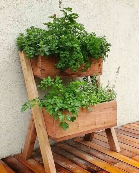 Spruce up your herb garden with Ladder Herb Garden Ideas - a unique and visually appealing way to cultivate your favorite herbs! Garden Ladder Ideas, Garden Ladder, Herb Garden Design, Indoor Herb Garden, Veg Garden, Herbs Indoors, Backyard Garden Design, Wooden Planters, Planting Herbs