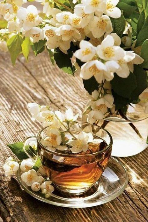 Jasmine Tea Jasmine Tea, Beltane, Tea Art, A Cup Of Tea, My Cup Of Tea, Floral Tea, Flower Tea, Tea Recipes, Cup Of Tea